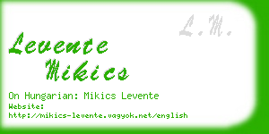 levente mikics business card